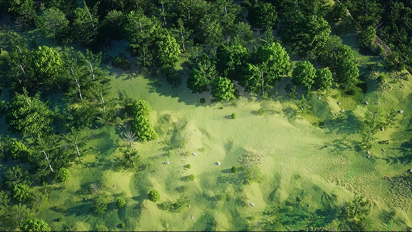 俯视森林环绕的明亮草地,树冠与草坡呈现不同绿色层次