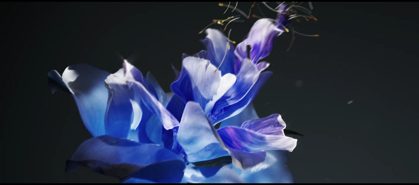 花 / 语精选美术帧，第 4 组