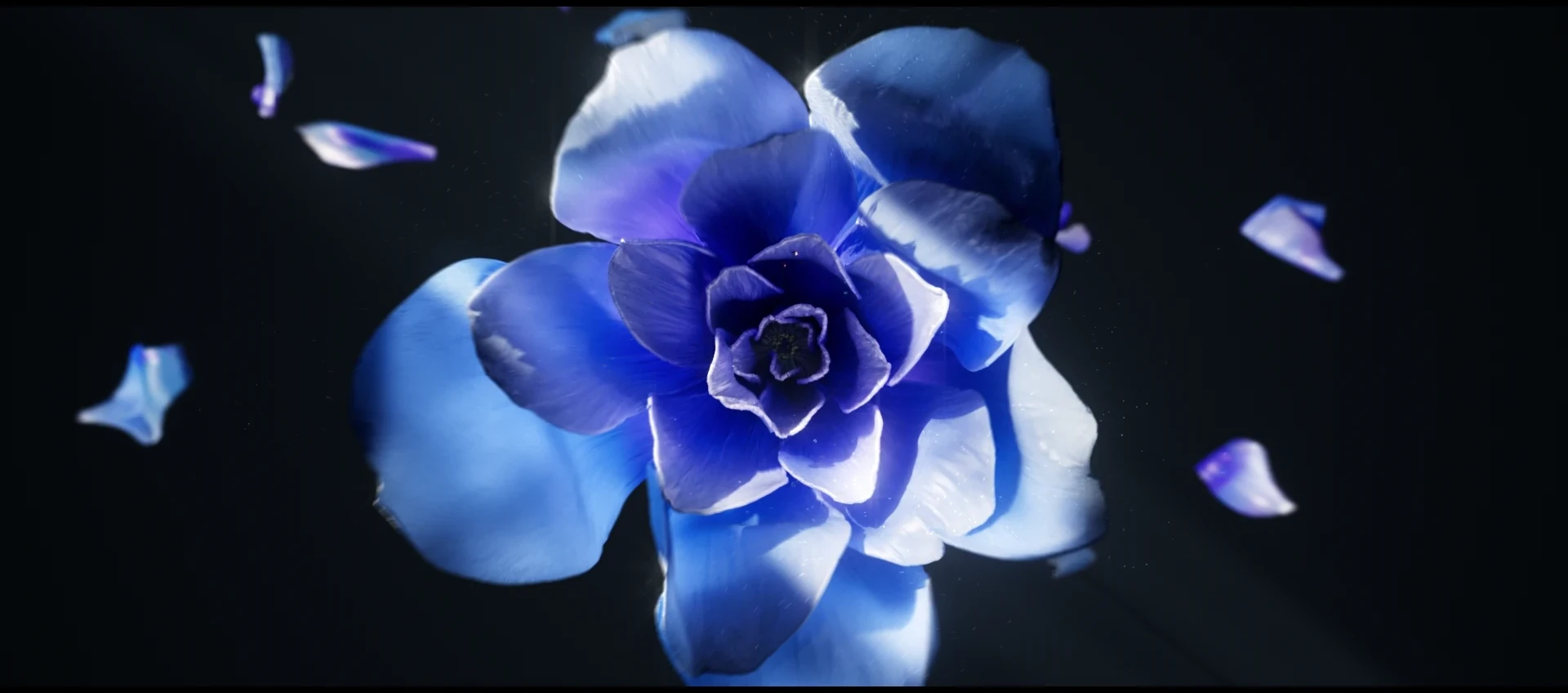 花 / 语作品封面