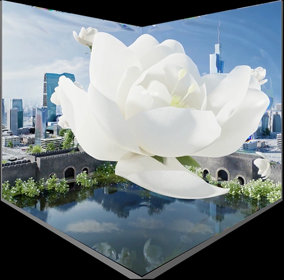 进博会苏州展区 · 老字号裸眼 3D作品封面